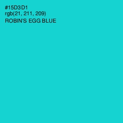 #15D3D1 - Robin's Egg Blue Color Image